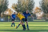 S.K.N.W.K. 3 - Duiveland 3 (comp.) seizoen 2022-2023 (18/48)